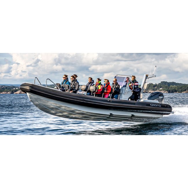 D950 DRIVE - Grand Boats