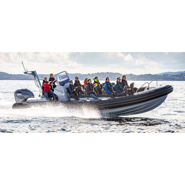 D950 DRIVE - Grand Boats