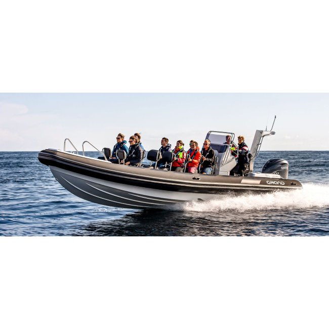 D950 DRIVE - Grand Boats