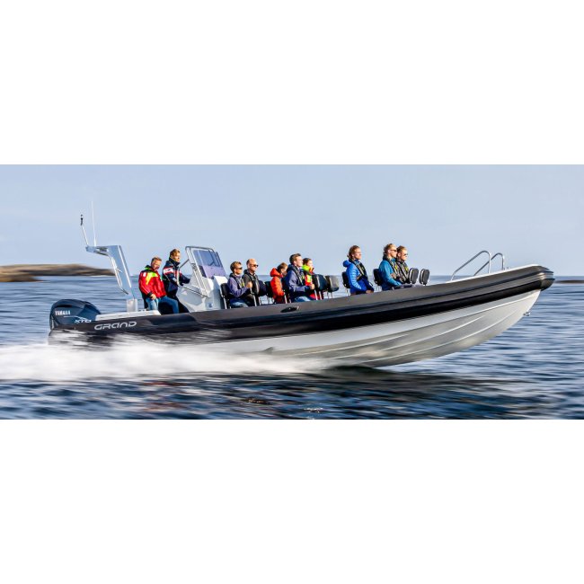 Embarcación semirrígida GRAND DRIVE LINE D950HD